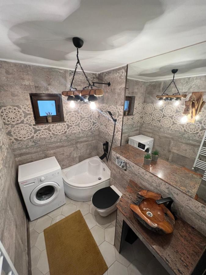 סוסאבה Sunny Luxury Home G. Enescu מראה חיצוני תמונה