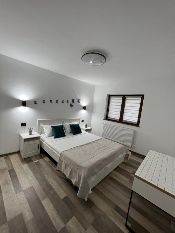 סוסאבה Sunny Luxury Home G. Enescu מראה חיצוני תמונה