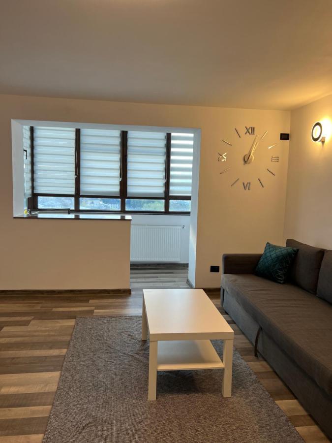 סוסאבה Sunny Luxury Home G. Enescu מראה חיצוני תמונה