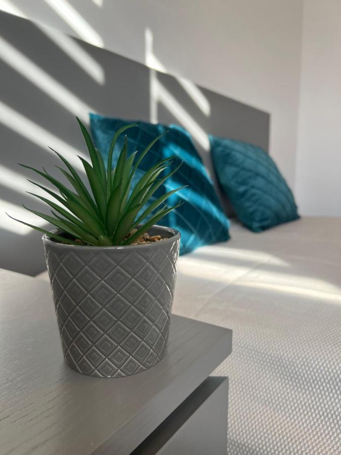 סוסאבה Sunny Luxury Home G. Enescu מראה חיצוני תמונה