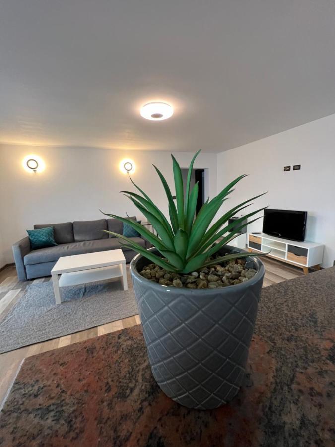 סוסאבה Sunny Luxury Home G. Enescu מראה חיצוני תמונה
